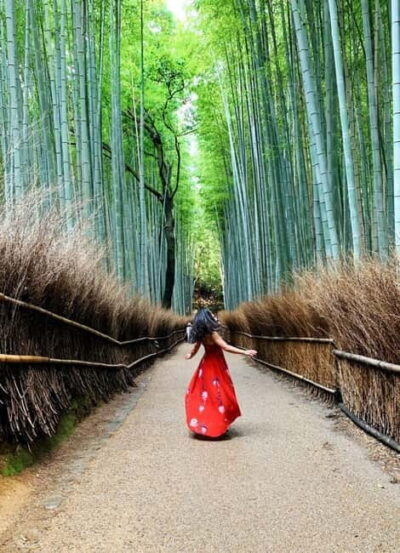 Kyoto: Private Customizable Day Tour with Guide and Vehicle - Arashiyama: bamboo forest area, photos, and a calm start