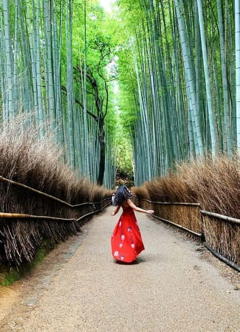 Kyoto: Private Customizable Day Tour with Guide and Vehicle - Arashiyama: bamboo forest area, photos, and a calm start