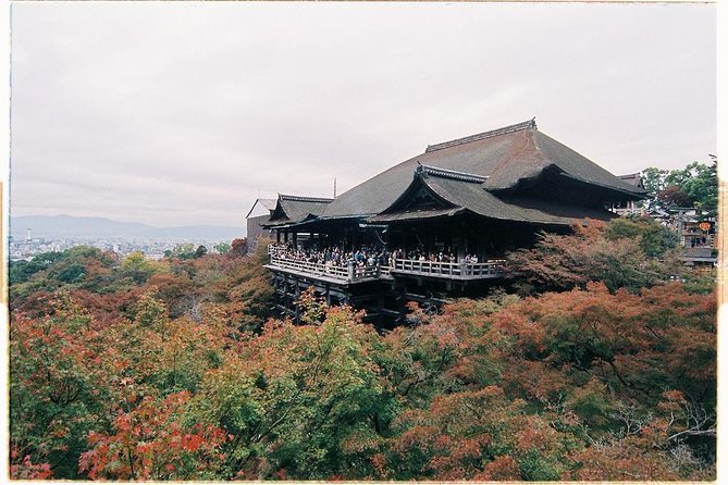 Kyoto Private Day Tour with English-Speaking Driver from Kyoto - Fushimi Inari: closing the day with torii tunnels