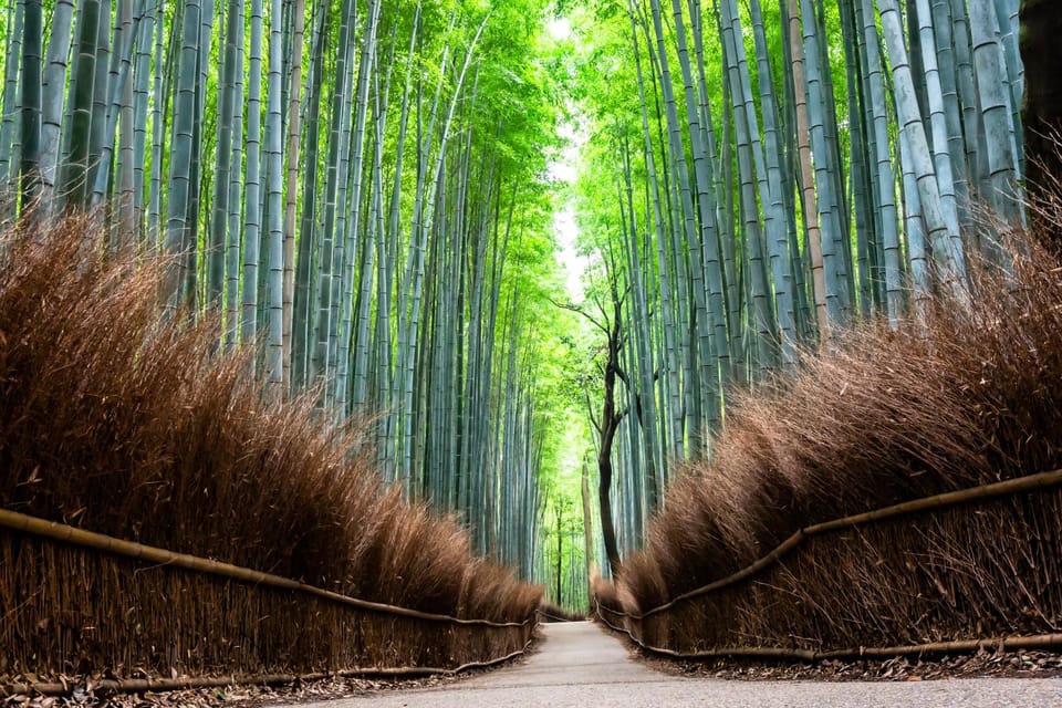 Kyoto: Private Full-Day Tour by Car - Bamboo Forest Time: Best Use of a Short, Famous Walk
