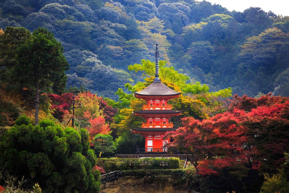 Kyoto: Private Highlights Tour with Guide and Luxury Vehicle - Fushimi Inari Taisha: Torii Gates, Sacred Steps, and Where a Guide Helps
