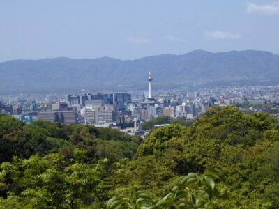 Kyoto: Private Tour with Local Licensed Guide - How a Licensed Local Turns Kyoto Into a Coherent Story