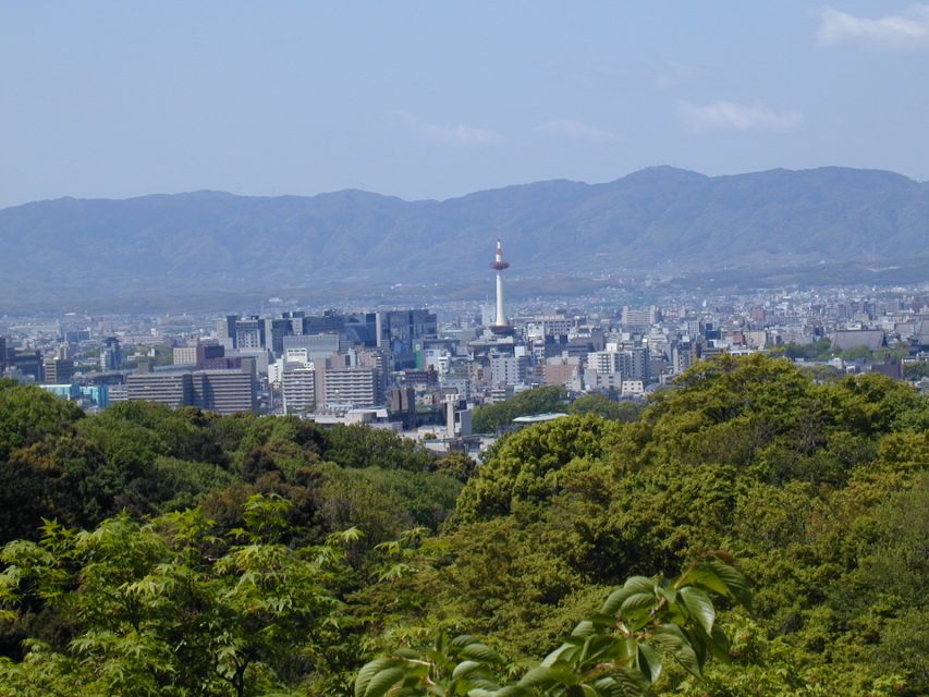 Kyoto: Private Tour with Local Licensed Guide - How a Licensed Local Turns Kyoto Into a Coherent Story