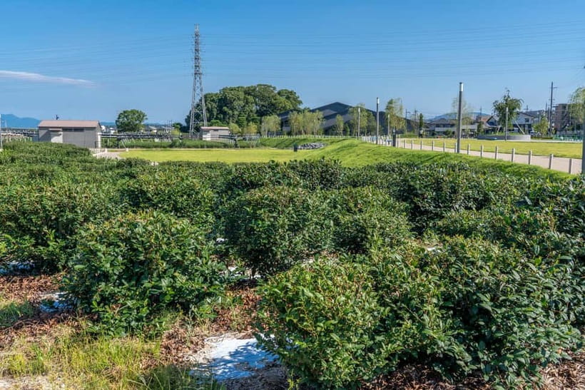 Kyoto: Tea Museum Tickets and Matcha Grinding Experience - Brewing Your Own Matcha: Instructor Coaching You Can Feel