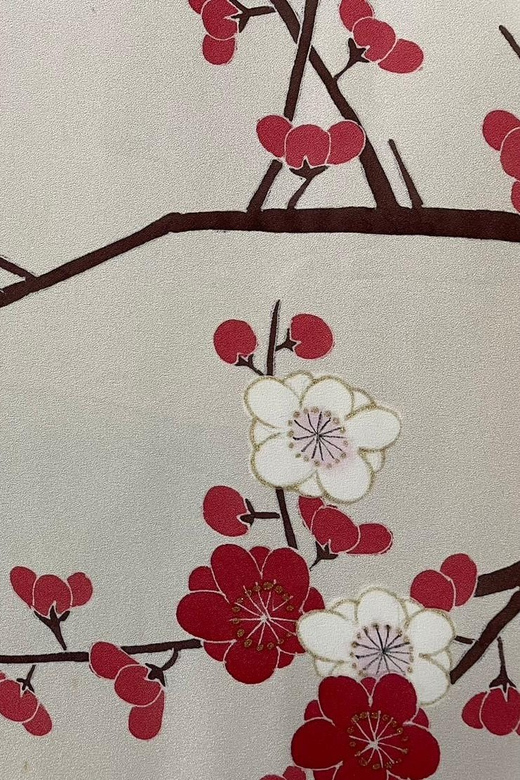 Kyoto: Traditional Yuzen Dyeing Experience - Who this class suits best (and who should skip it)