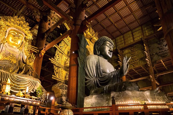 Nara 8hr Private Tour - Kyoto DEP. with Licensed Guide - Who this Nara tour suits best