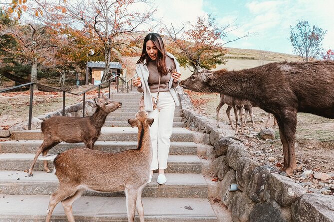 Nara Park, Osaka & Kobe from Kyoto Full Day tour - Return to Kyoto Station: You End With Options