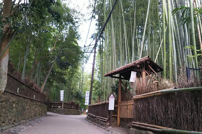 One-Day Walking Tour : Enjoy Kyoto to the fullest! - Price and Value: What You Pay vs What You Actually Get