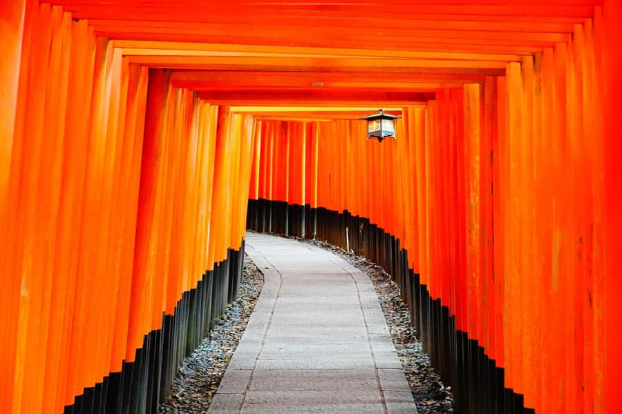 Osaka/Kyoto: Arashiyama, Nara & Fushimi Inari Shrine w/Lunch - Why this Arashiyama–Nara–Fushimi day trip is so popular