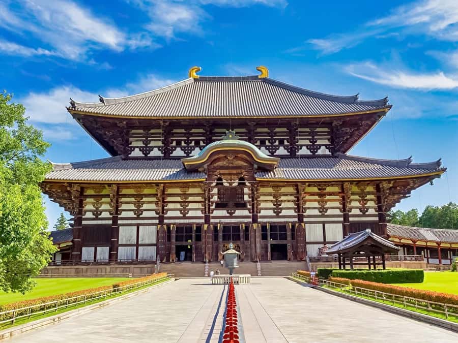 Osaka/Kyoto: Arashiyama, Nara & Fushimi Inari Shrine w/Lunch - The bus, the timing, and how to avoid the usual day-trip traps