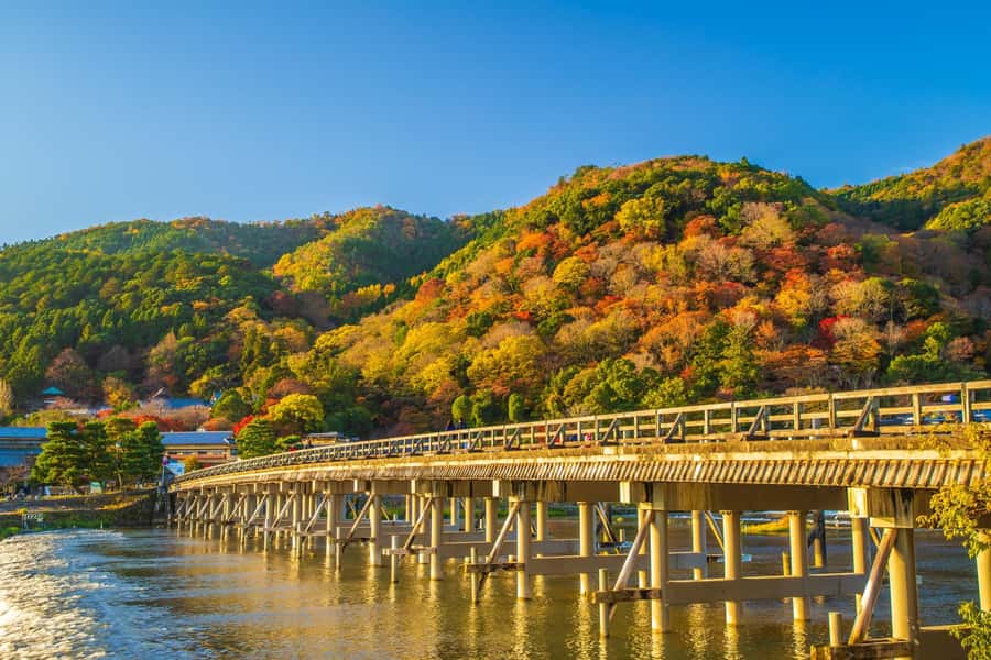 Osaka/Kyoto: Arashiyama, Nara & Fushimi Inari Shrine w/Lunch - Price and value: is $61 a smart deal?