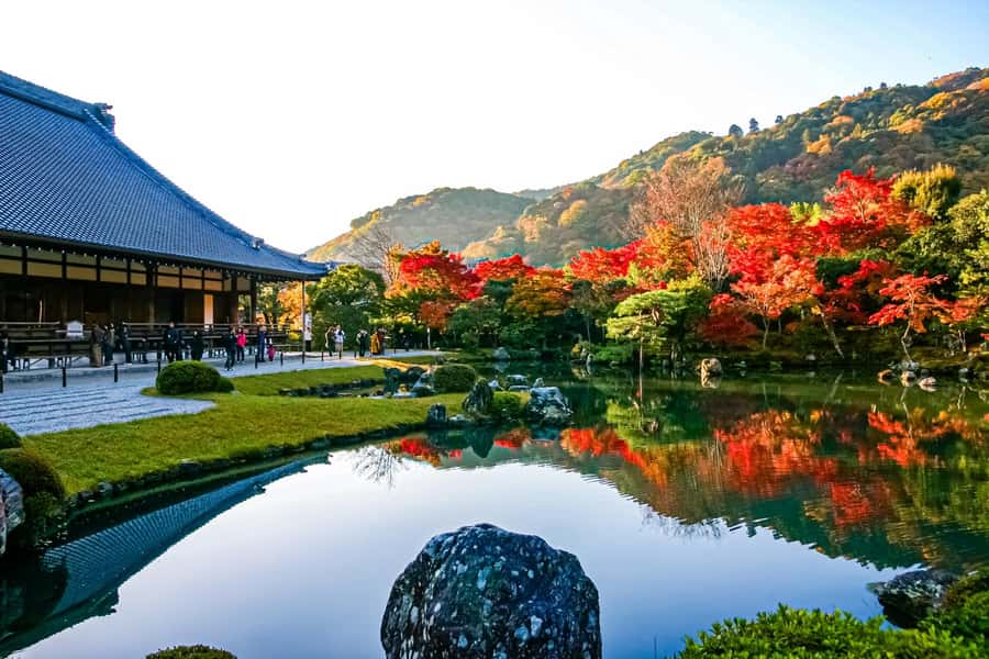 Osaka/Kyoto: Arashiyama, Nara & Fushimi Inari Shrine w/Lunch - Who should book this tour (and who should not)