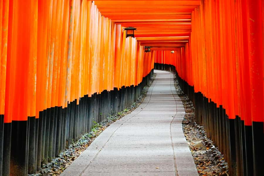 Osaka/Kyoto:Kinkakuji,Arashiyama,FushimiInariShrine,NaraPark - Price and Logistics: What Your $66 Really Buys