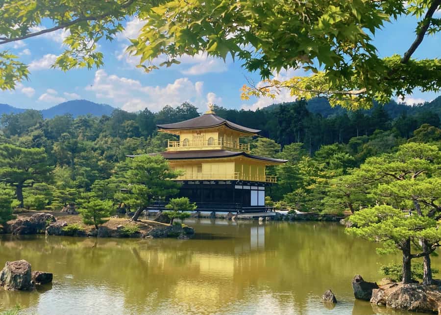Osaka/Kyoto:Kinkakuji,Arashiyama,FushimiInariShrine,NaraPark - Arashiyama Bamboo Grove: The Time Trade-Off That Changes the Whole Day