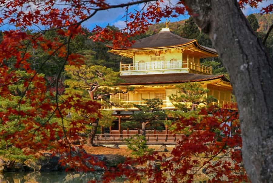 Osaka/Kyoto:Kinkakuji,Arashiyama,FushimiInariShrine,NaraPark - Kinkaku-ji Golden Pavilion: UNESCO Beauty With a Built-In Ticket