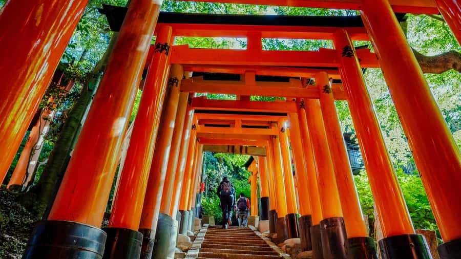 Osaka/Kyoto:Kinkakuji,Arashiyama,FushimiInariShrine,NaraPark - Getting Started in Osaka or Kyoto (VIP Lounge + Prompt Departures)