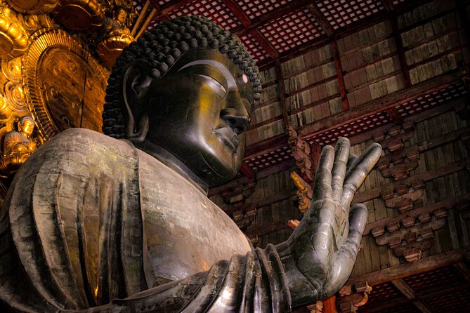 Osaka & Nara in 1-Day by Private Van with Local Expert Guide - A 1-Day Osaka and Nara Plan That Starts at 1 pm