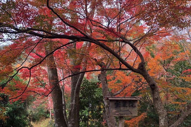Private car tour in Kyoto (up to 4) - Stop 3: Nijo Castle for big rooms and power stories