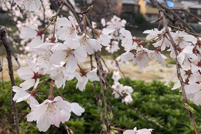 Private car tour in Kyoto (up to 4) - The 9:00am start: how the day stays efficient without feeling chaotic