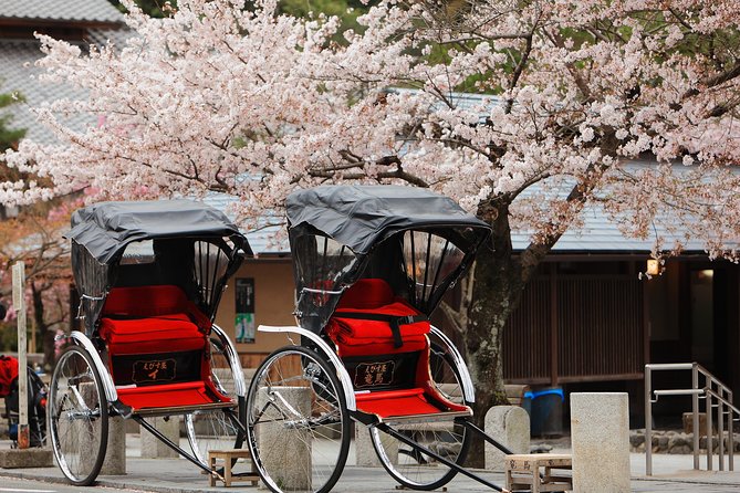 Private Custom Tour: Kyoto in One Day - Key Points to Know Before You Go