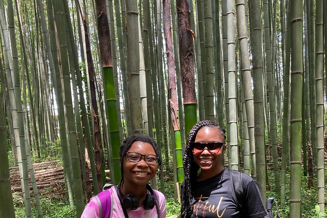 Private Custom Tour: Kyoto in One Day - Kiyomizu-dera: Cliff Views, Sacred Focus, and a Crowd-Management Mindset