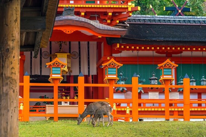 Private Customized 3 Full Days Tour Package: Discover Kyoto, Arashiyama and Nara - Day 3 to Nara: Deer Park, Kofuku-ji, Todaiji, Kasuga Shrine Back in Kyoto