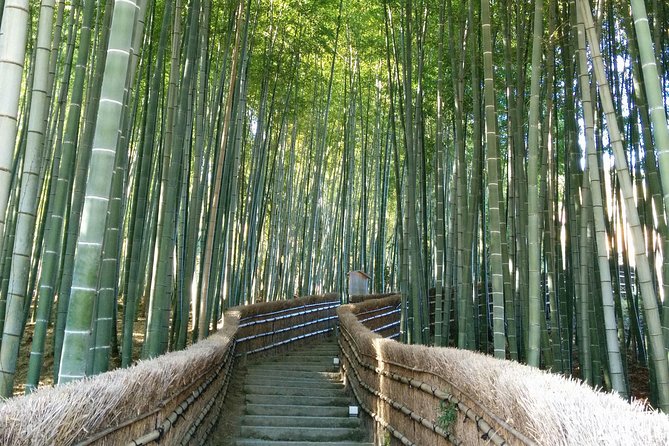 Private Highlights of Kyoto Tour - Key Highlights Worth Your Time