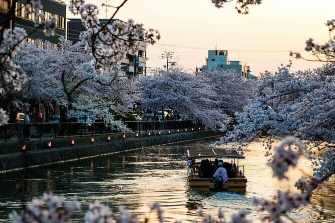 Private Kyoto Customizable Day Tour with English Speaking Driver - The 8:30 am start: how the day stays on track