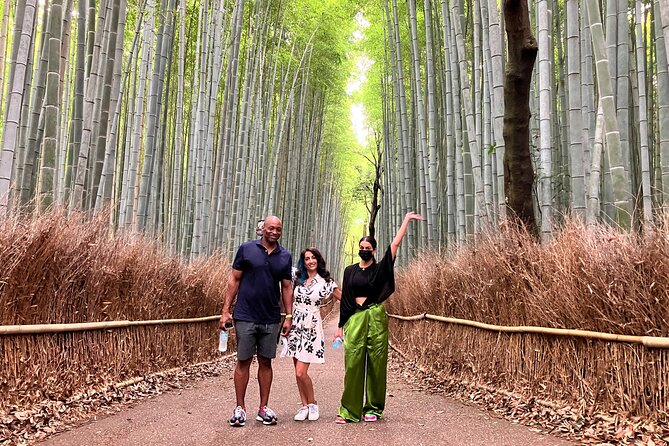 Private Kyoto Tour with Licensed Guide & Vehicle (Max 15 persons) - Arashiyama and Tenryu-ji: when Kyoto turns scenic and calmer