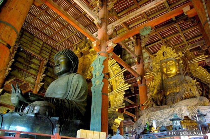 Private Tour Kyoto-Nara w/Hotel Pick Up & Drop off from Kyoto - Kinkaku-ji Golden Pavilion: plan your time for the ticketed part