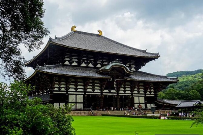 Private Tour Kyoto-Nara w/Hotel Pick Up & Drop off from Kyoto - Food and breaks: what lunch means for your timing