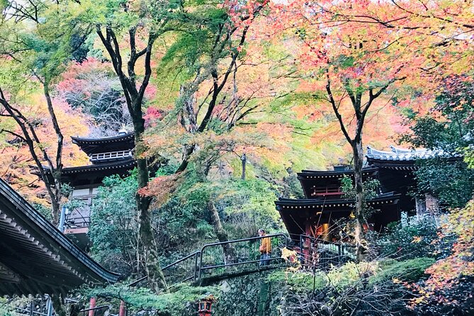 Private Walking Tour in Bamboo Forest & Hidden Spots in Arashiyama - Saga Toriimoto: Traditional Buildings and the Atago Fire-Prevention Story