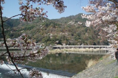 Private Walking Tour in Bamboo Forest & Hidden Spots in Arashiyama - Seiryōji (Saga Shakadō): A 9th-Century Start with Free Calm