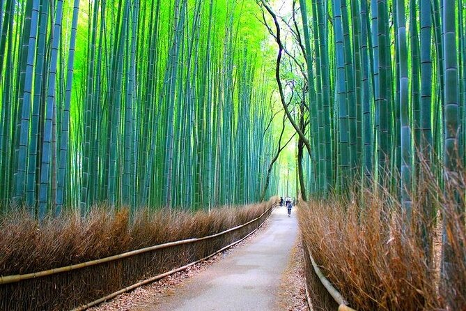 Private Walking Tour in Bamboo Forest & Hidden Spots in Arashiyama - Togetsukyo Bridge: The Moon-Crossing Moment at River’s Edge