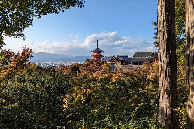 Tour in Kyoto with a Goverment Certified Tour Guide - Is $110 a fair deal for Mystical Kyoto Quest?