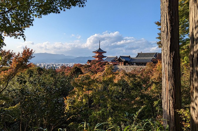 Tour in Kyoto with a Goverment Certified Tour Guide - Kiyomizu-dera: temple drama plus big views