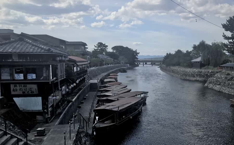 Uji: Green Tea Tour with Byodoin and Koshoji Temple Visits - Key highlights you’ll actually care about