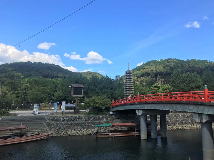 Uji: Green Tea Tour with Byodoin and Koshoji Temple Visits - Who this tour suits best (and who should skip it)