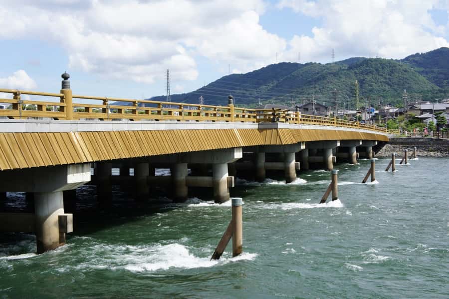 Uji: Green Tea Tour with Byodoin and Koshoji Temple Visits - Walking, stairs, and weather: plan for a real temple day