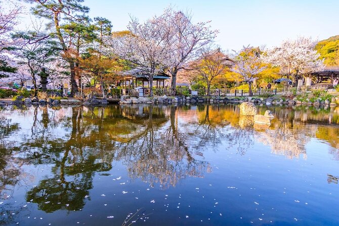 Your Private Vacation Photography Session In Kyoto - Price, Group Size, and What You Really Get for $297